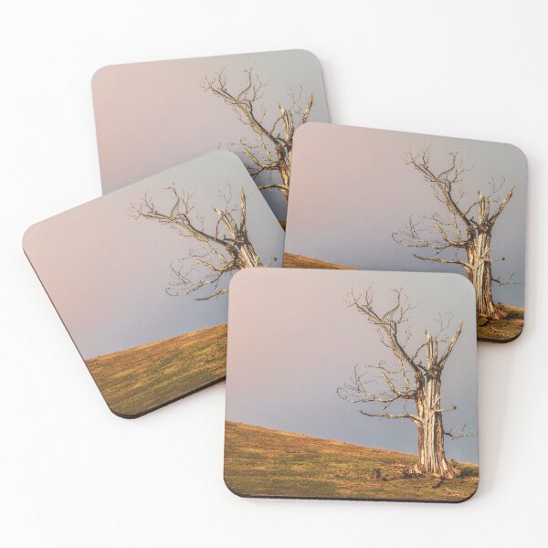 Item preview, Dead Tree Sun designed and sold by Jim Love.