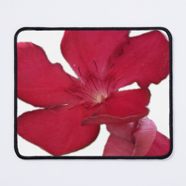 Item preview, Radiant Crimson Red Oleander Flower Cutout designed and sold by BalkanBloom.