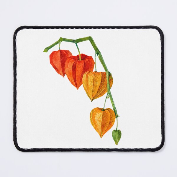 Item preview, Physalis Lanterns, Goldenberry Collage Art | Exotic Fruit Illustration for Food Lovers & Culinary Decor designed and sold by SWSandraWechner.