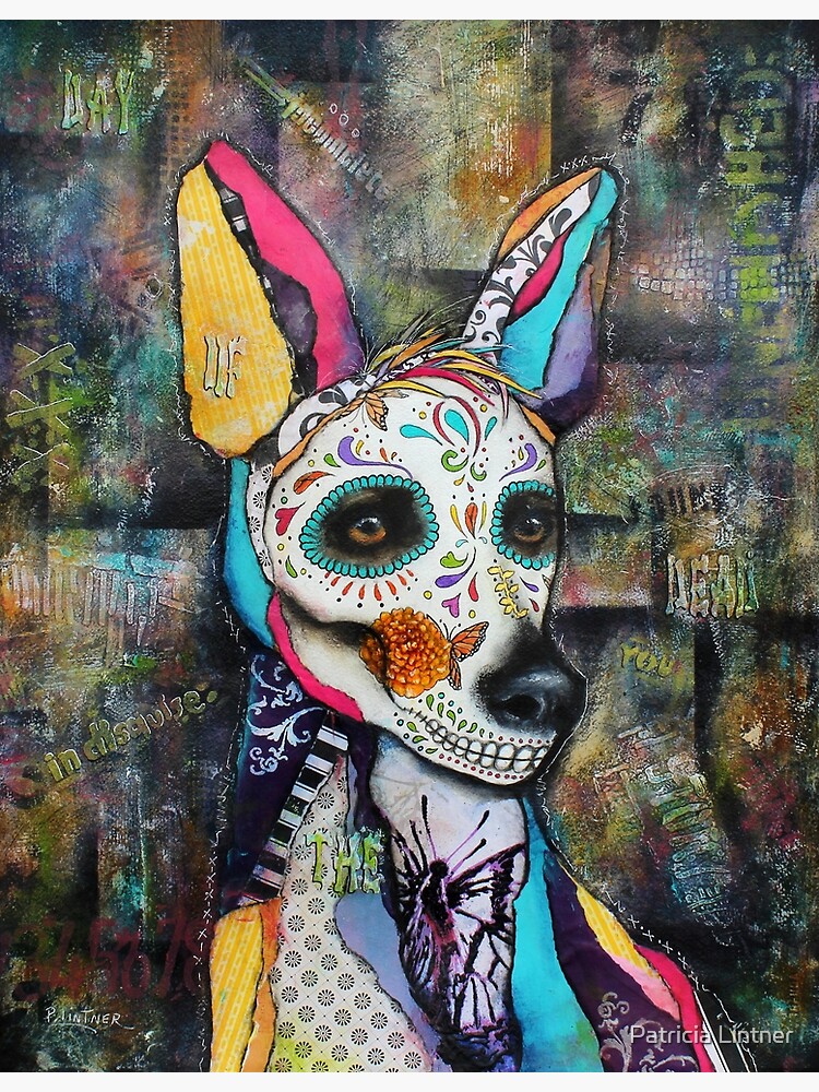 mexican dog of the dead