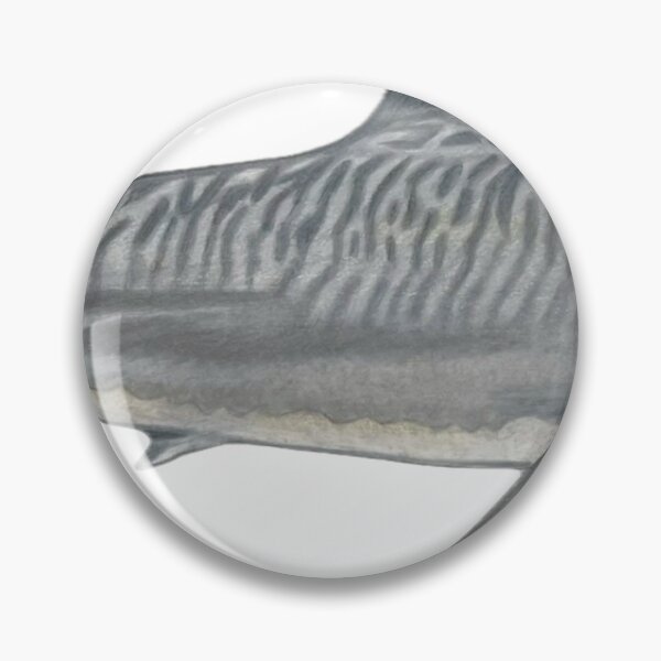 Item preview, Tiger Shark Hand Drawn Original Artwork designed and sold by fishladydesigns.