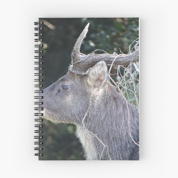 Item preview, Ciervo. Hierba en las astas. designed and sold by IanLeithhead.