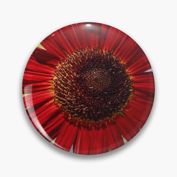 Item preview, Red Summer Sunflower 8x10 designed and sold by PhotoArtbyGrace.