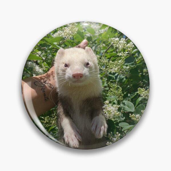Item preview, Loki da supa ferret designed and sold by energyxeverlasting.