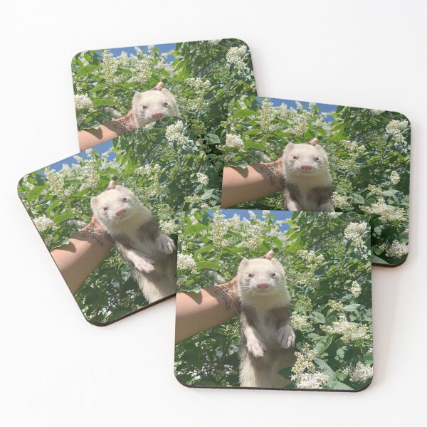 Item preview, Loki da supa ferret designed and sold by energyxeverlasting.