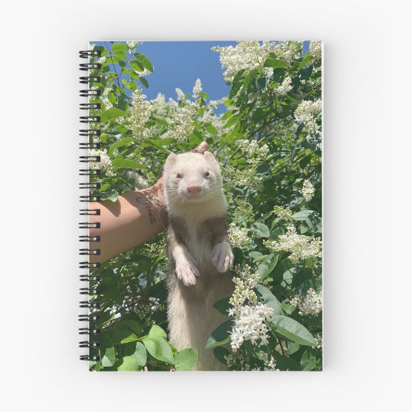 Item preview, Loki da supa ferret designed and sold by energyxeverlasting.