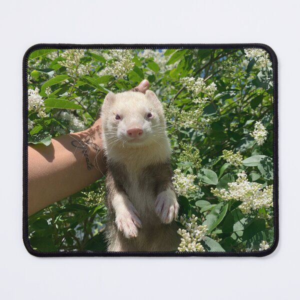 Item preview, Loki da supa ferret designed and sold by energyxeverlasting.