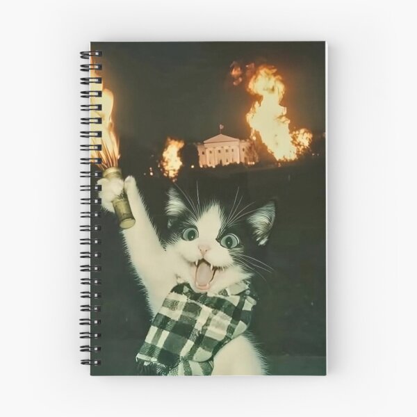 Aperçu de l'œuvre Mèmes de chats drôles sur Internet créée et vendue par Weirdly_Worn.