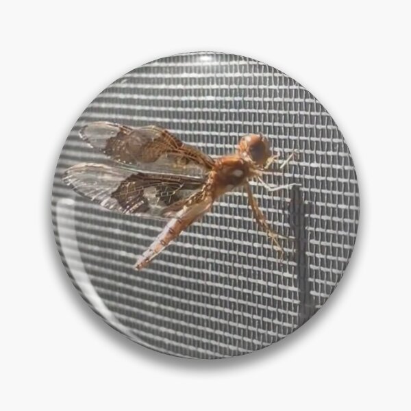 Item preview, Climbing Dragonfly designed and sold by ROSENDE ART HOUSE.