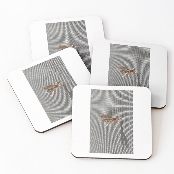 Item preview, Climbing Dragonfly designed and sold by ROSENDE ART HOUSE.