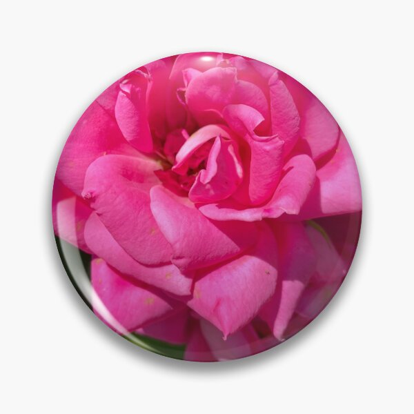 Item preview, Single Pink Rose designed and sold by Notcamerashy.