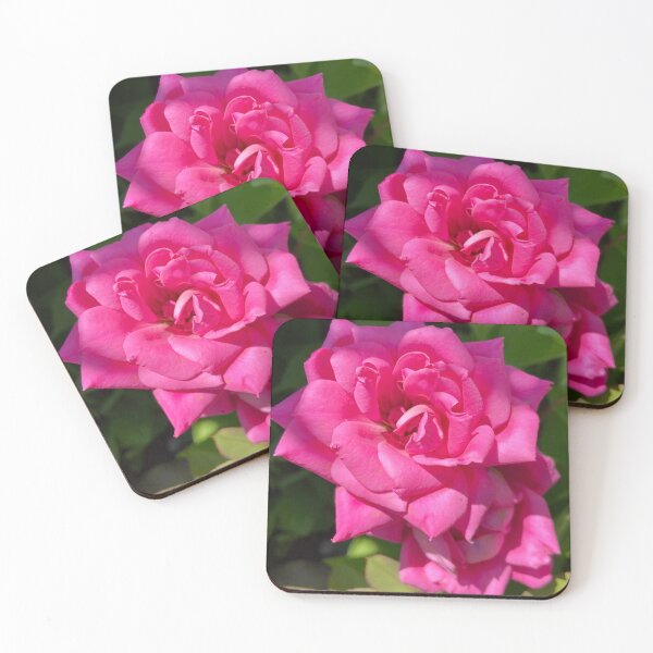 Item preview, Single Pink Rose designed and sold by Notcamerashy.