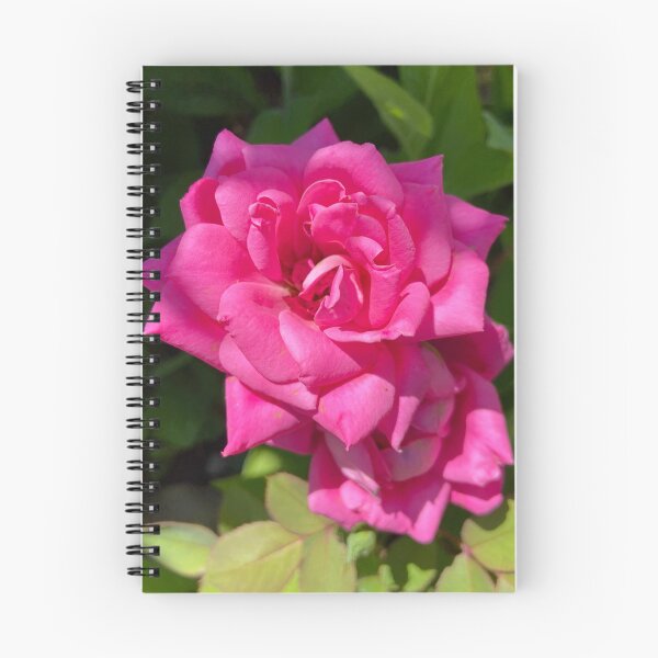 Item preview, Single Pink Rose designed and sold by Notcamerashy.