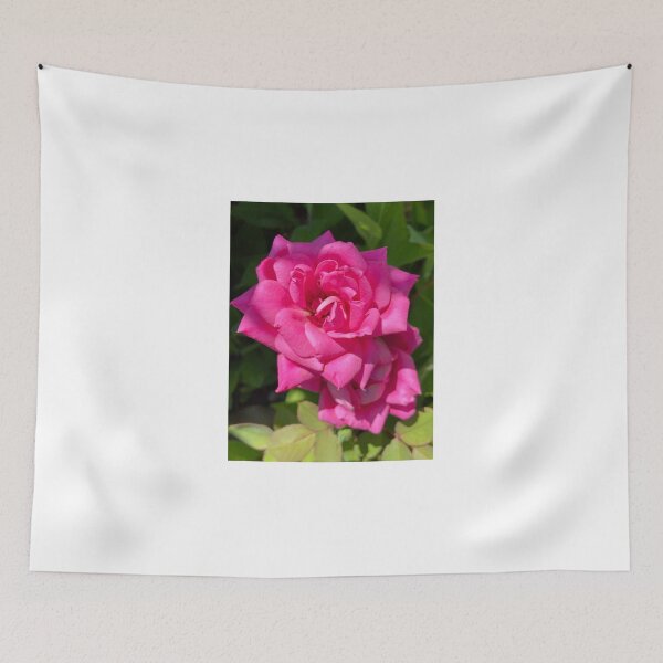 Item preview, Single Pink Rose designed and sold by Notcamerashy.