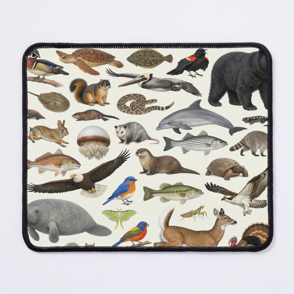 Item preview, Animals of South Carolina Retro Style Identification Chart designed and sold by kakarikihill.
