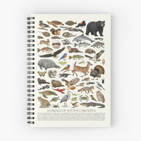 Item preview, Animals of South Carolina Retro Style Identification Chart designed and sold by kakarikihill.