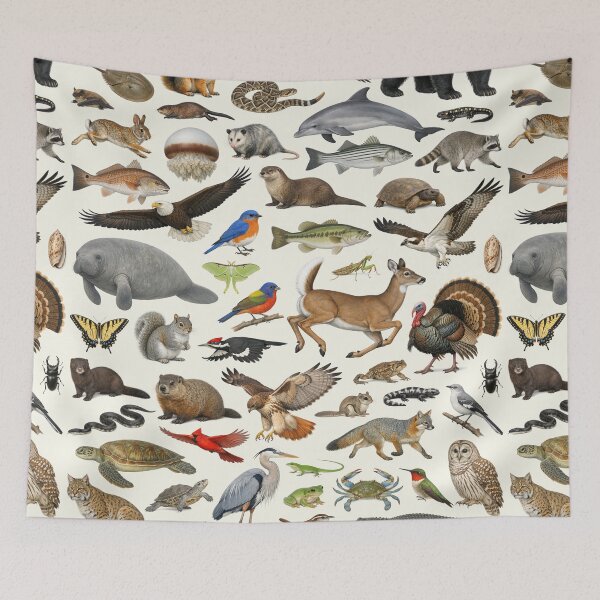 Item preview, Animals of South Carolina Retro Style Identification Chart designed and sold by kakarikihill.