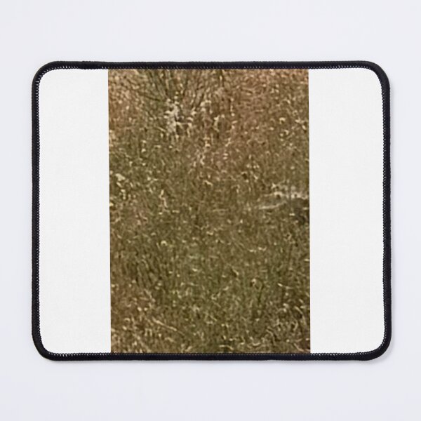 Item preview, Abstract wheat tone 4091 2026 06 designed and sold by ClaudiasCousin.