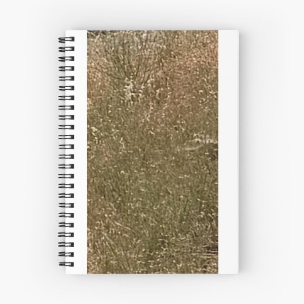 Item preview, Abstract wheat tone 4091 2026 06 designed and sold by ClaudiasCousin.