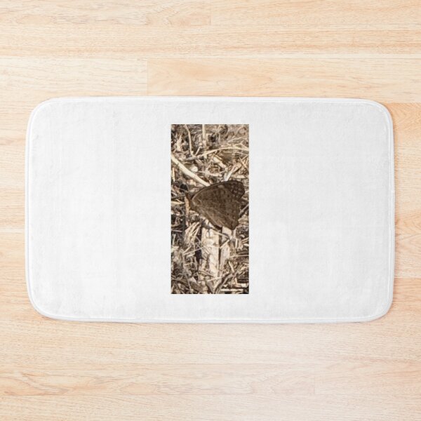 Item preview, Buckeye Butterfly 4093 2026 06 designed and sold by ClaudiasCousin.