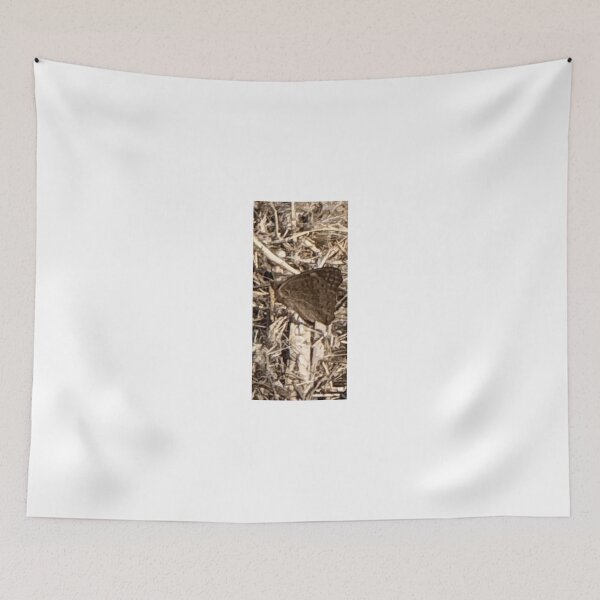 Item preview, Buckeye Butterfly 4093 2026 06 designed and sold by ClaudiasCousin.