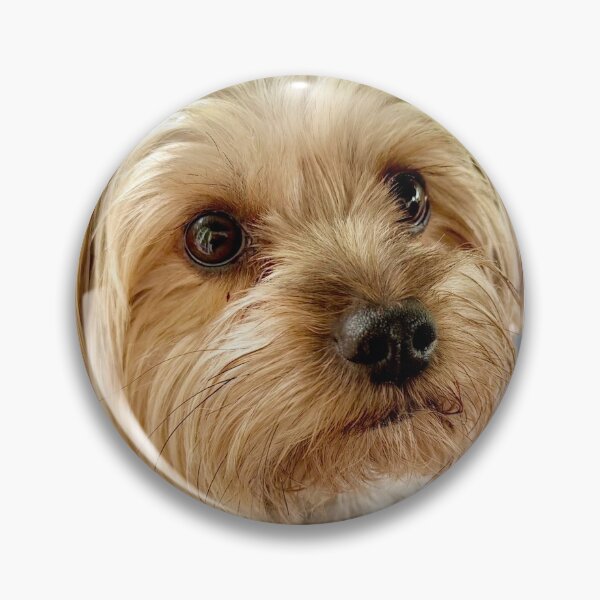 Item preview, My Yorkie, Charlie Brown designed and sold by ROSENDE ART HOUSE.