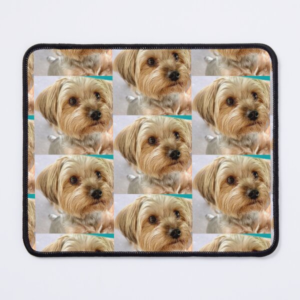 Item preview, My Yorkie, Charlie Brown designed and sold by ROSENDE ART HOUSE.