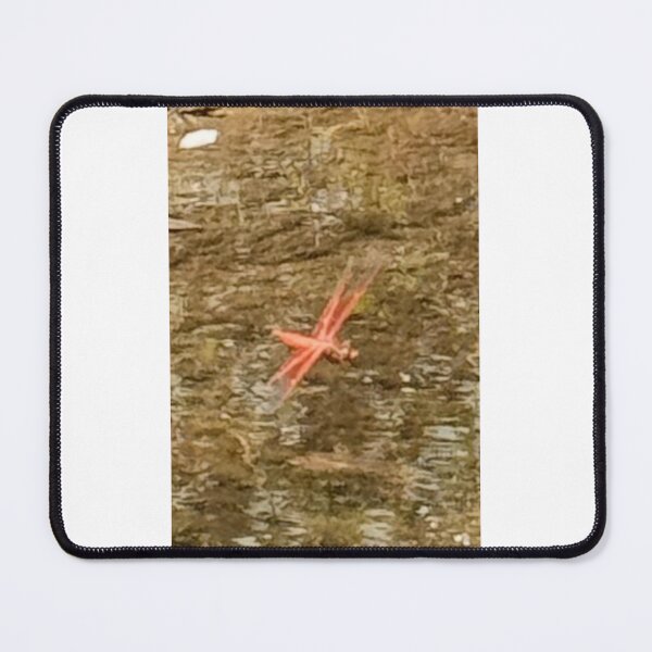 Item preview, Red Dragonfly 4834 2026 06 designed and sold by ClaudiasCousin.