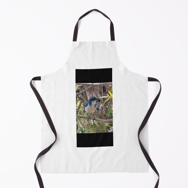 Item preview, California Scrub Jay bird 5512 2026 06 designed and sold by ClaudiasCousin.