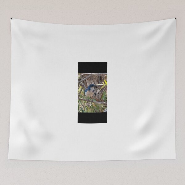 Item preview, California Scrub Jay bird 5512 2026 06 designed and sold by ClaudiasCousin.
