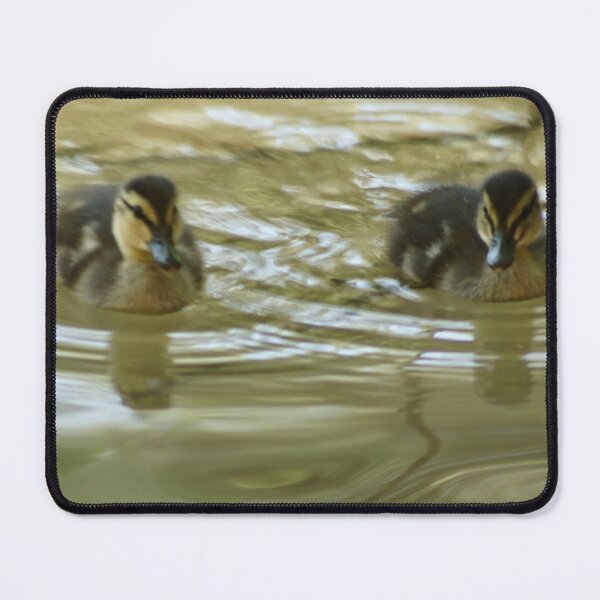 Item preview, Baby Ducks Swimming designed and sold by WilesTheFox.