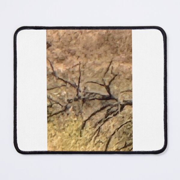 Item preview, Abstracted - Bare Tree 4521 2026 06 designed and sold by ClaudiasCousin.