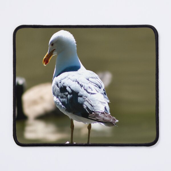 Item preview, Seagull Standing on a Rock designed and sold by WilesNailsPower.