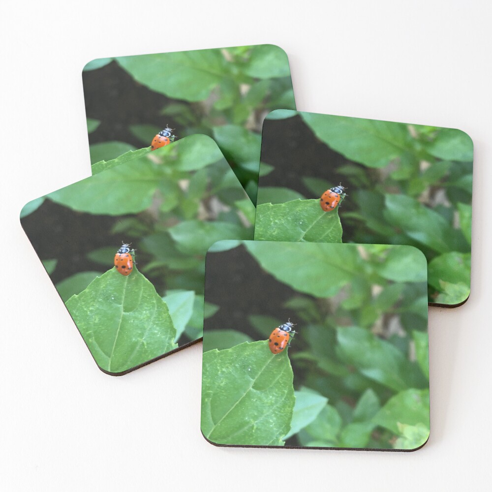 Item preview, Coasters (Set of 4) designed and sold by RDLT.