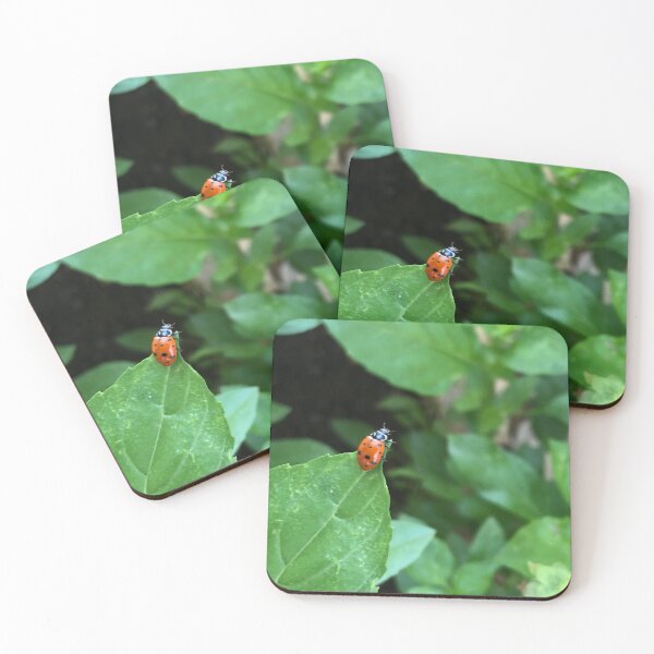 Item preview, Ladybug on a basil leaf designed and sold by RDLT.