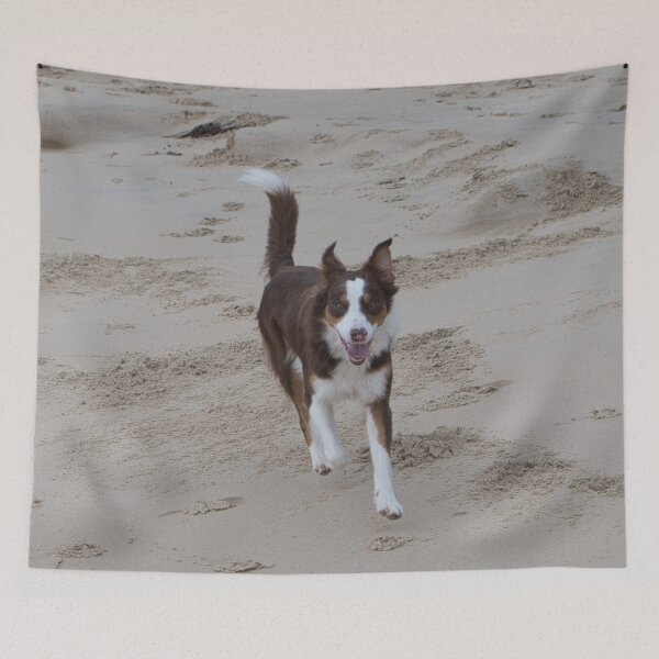 Item preview, Dog on beach designed and sold by beerman70.