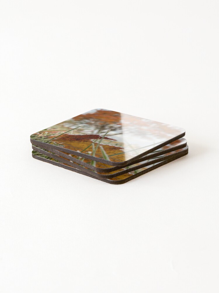Thumbnail 4 of 5, Coasters (Set of 4), Late Fall designed and sold by R-Rayton.