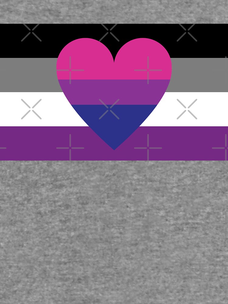 Asexual Biromantic Flag Lightweight Hoodie For Sale By Dlpalmer 