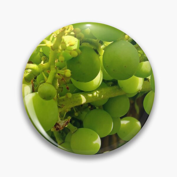 Item preview, Growing Green Grapes designed and sold by Artemis-Black.