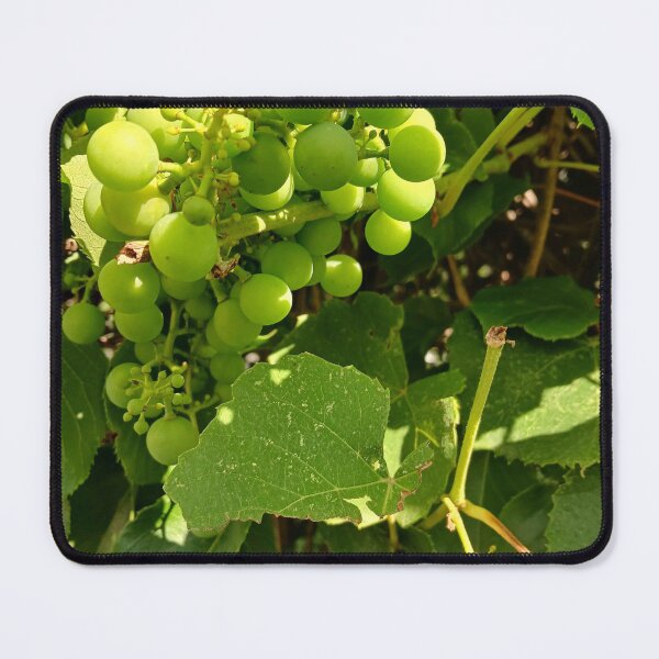 Item preview, Growing Green Grapes designed and sold by Artemis-Black.