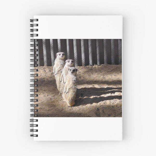 Item preview, Three meerkats standing and look out designed and sold by pbchan.