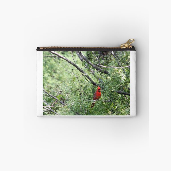 Aperçu de l'œuvre Cardinal sauvage créée et vendue par Catherine Kerr.