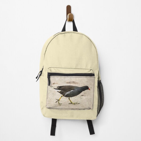 Item preview, Common Moorhen Walking on Sandy Ground designed and sold by pigeonlovrs.
