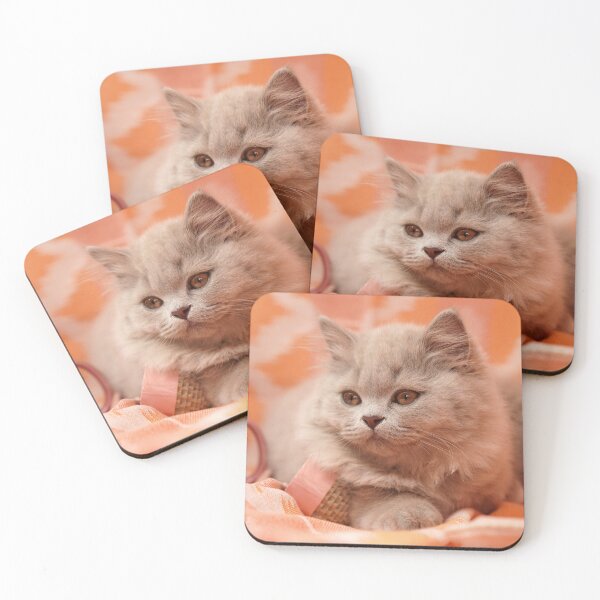 Item preview, Fluffy British Shorthair Kitten Photography Art Print designed and sold by LinaDesign Store.