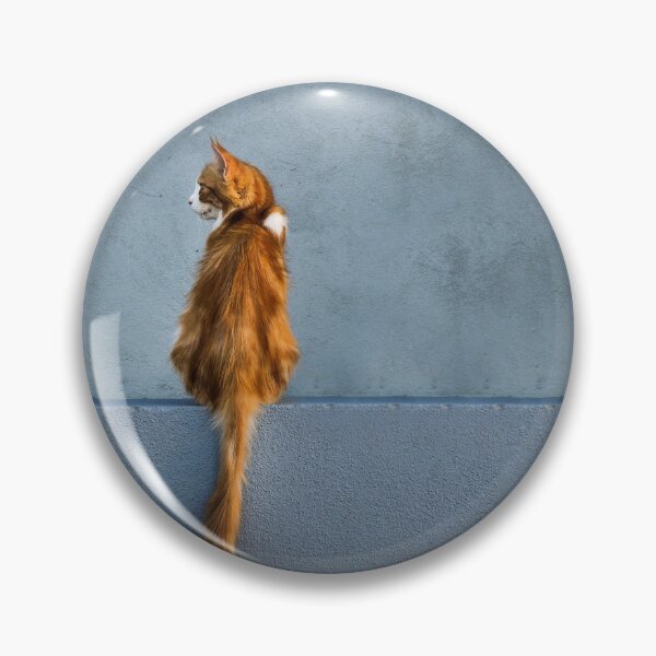 Item preview, Minimalist Ginger Cat on Blue Wall Photography Print designed and sold by LinaDesign Store.