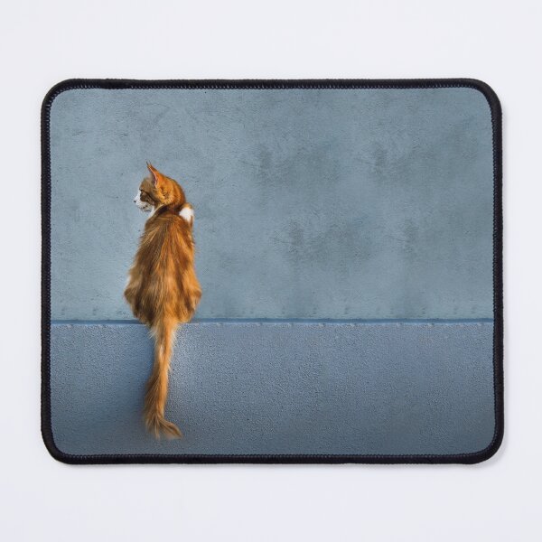 Item preview, Minimalist Ginger Cat on Blue Wall Photography Print designed and sold by LinaDesign Store.