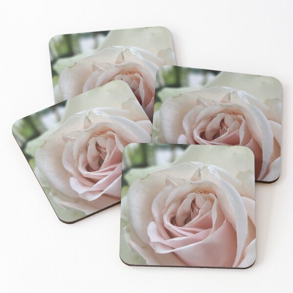 Item preview, Soft Creamy White Pink Rose Rosa Bloom Showing Its Beauty designed and sold by vtspatial.