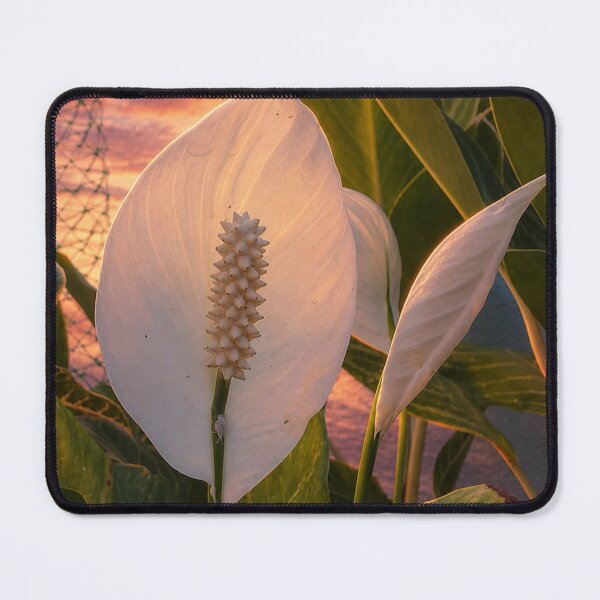 Item preview, Whitty white designed and sold by SheFriendly143.