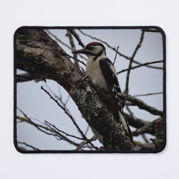 Item preview, Frozen reality - Beautiful nature 838 designed and sold by deep-sea-birds.