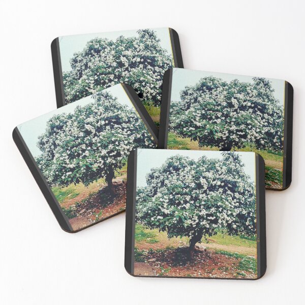 Item preview, Tree filled with ful of white flower  designed and sold by TruptiLokhande7.
